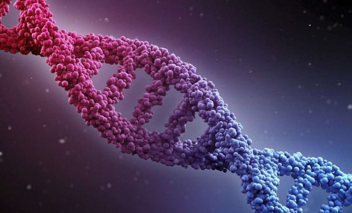 Heredity Hair Loss treatment in Lahore Pakistan